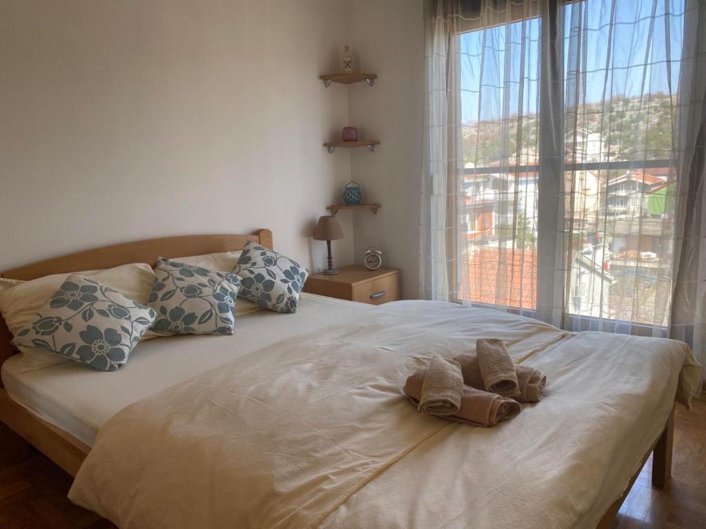 Apartman Bojanic - 一居室公寓