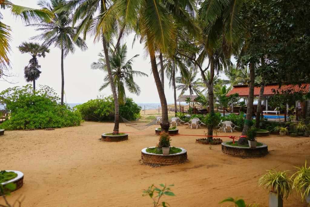 Zahrada ubytování Wellé Wadiya Beach Villa