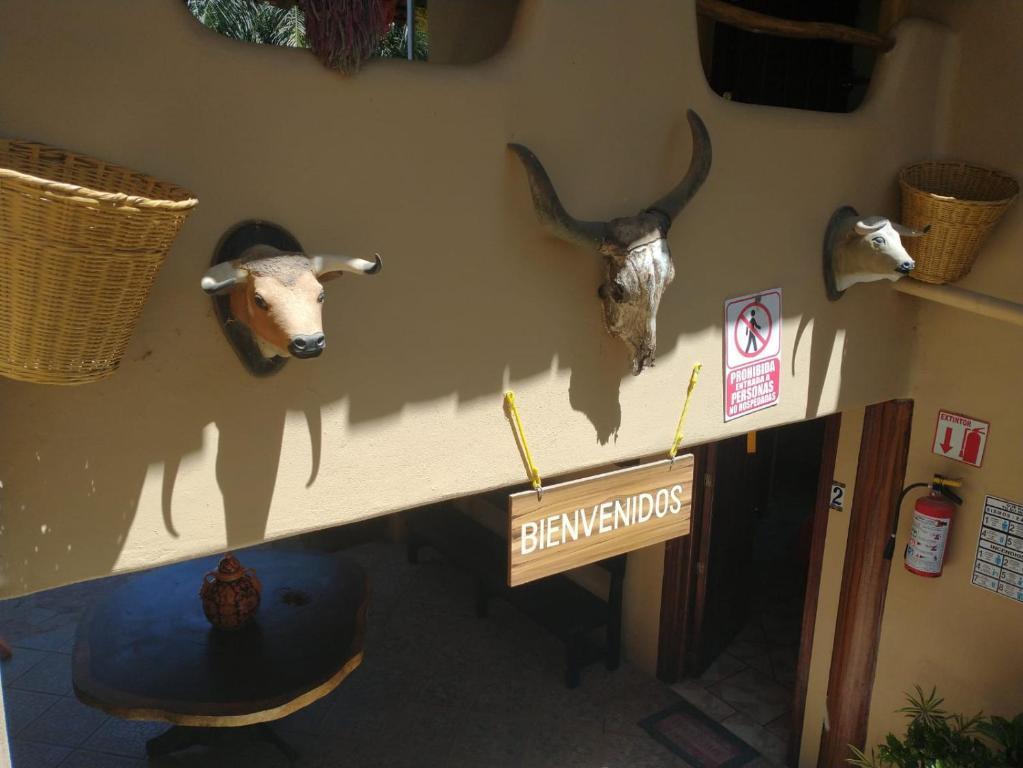 Fotografie z fotogalerie ubytování Hacienda Jaqueline v destinaci Sayulita