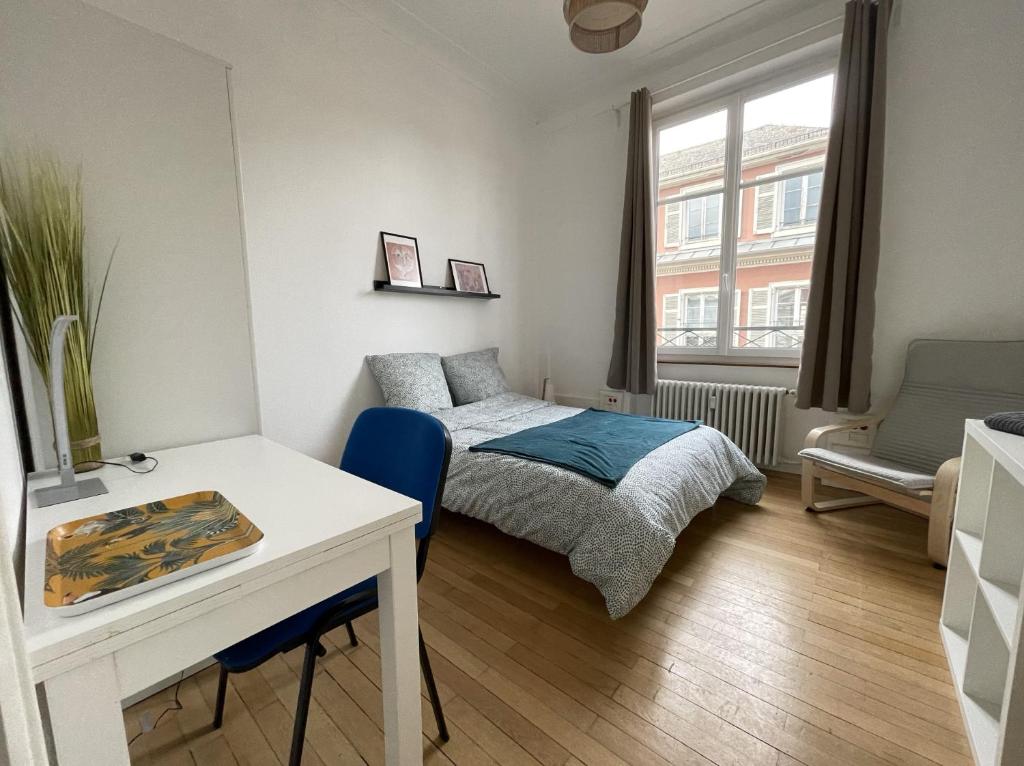 Chambres privées -Private room- dans un spacieux appartement - 100m2 centre proche gare – photo 40