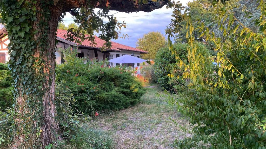 a garden path with a tree and a house at Cool Landes in Sainte-Eulalie-en-Born