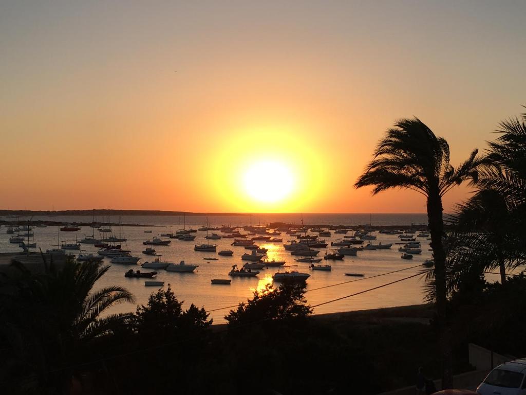 un gruppo di barche in un porto al tramonto di Ponent Formentera a La Savina