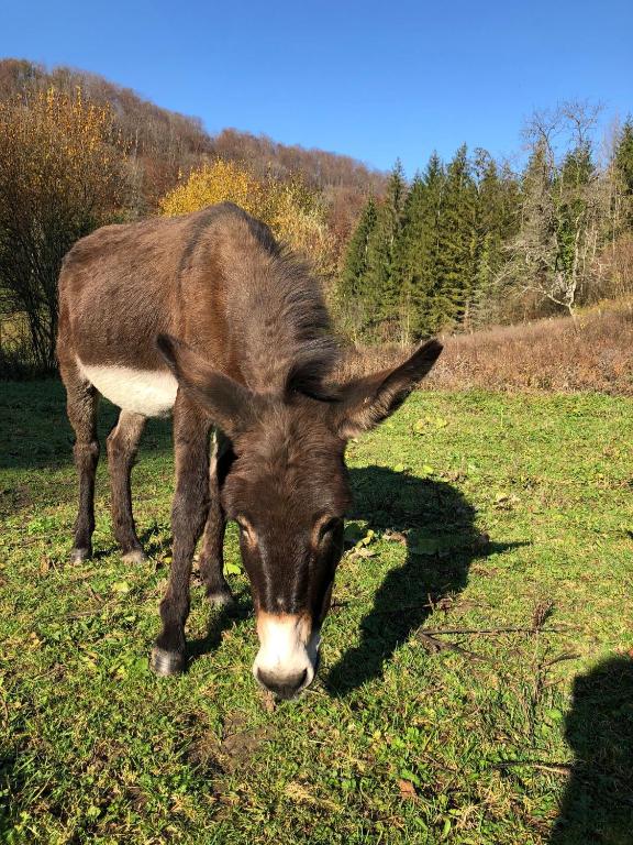 Domaine de Rosière - Familiekamer Met Uitzicht Op De Tuin
