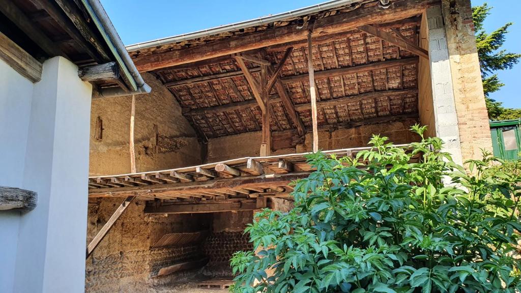 un edificio antiguo con techo de madera y un árbol en la grange de dav et tof, en Lens-Lestang