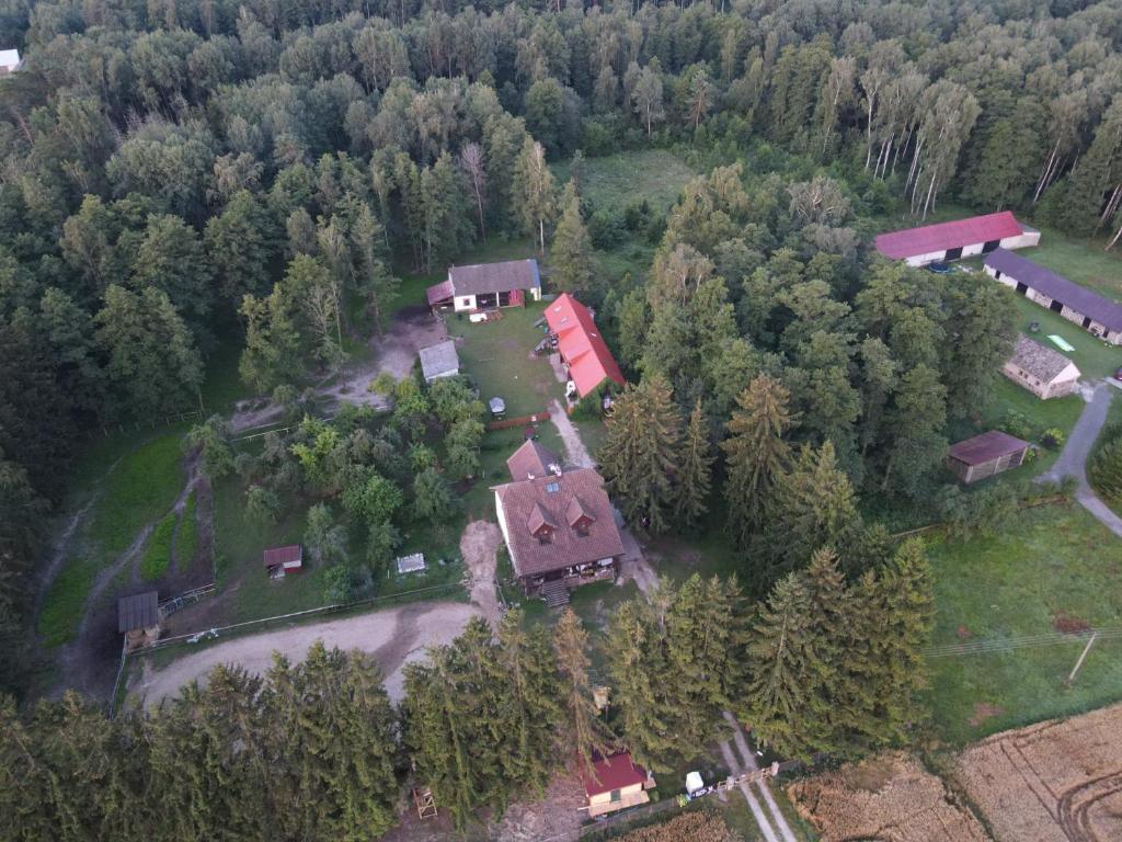 una vista aérea de una casa en medio de un bosque en Kurnik Polski agroturystyka, en Tykocin