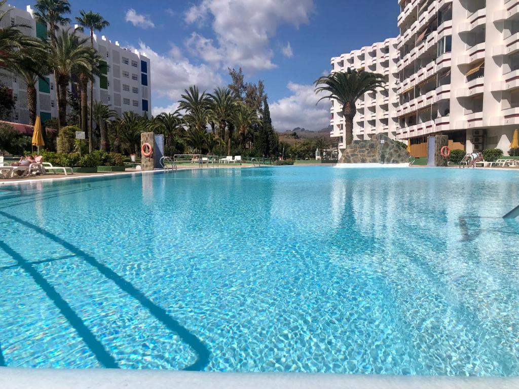 ein großer blauer Pool mit Palmen und Gebäuden in der Unterkunft Apartamento Agaete Park in Playa del Ingles