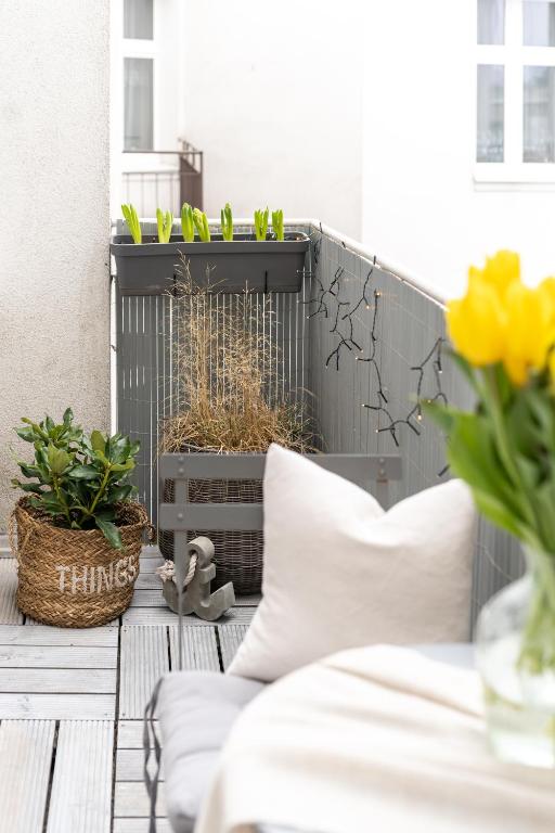 all for Sophie apartments - Bezpłatny Parking & Palarnia Kawy i Pracownia Artystyczna w Kamienicy - Free Parking & Art and Coffee in Historic Building - 5