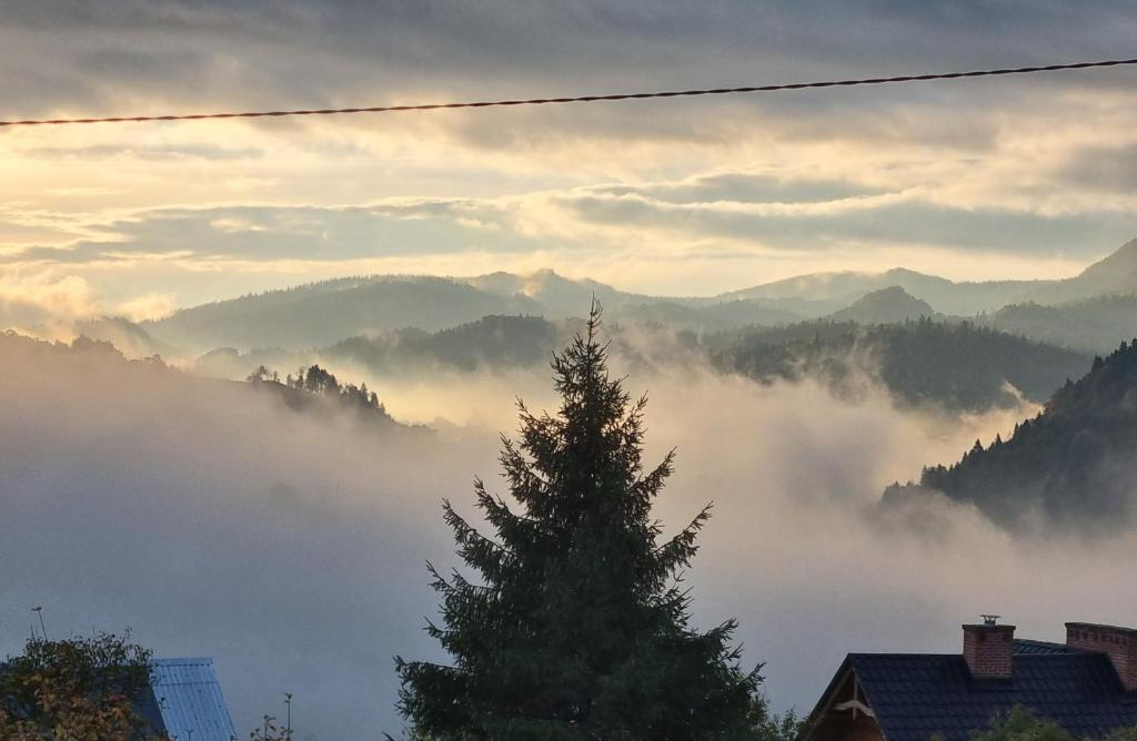 Willa "KomaNcza" Szczawnica - 9