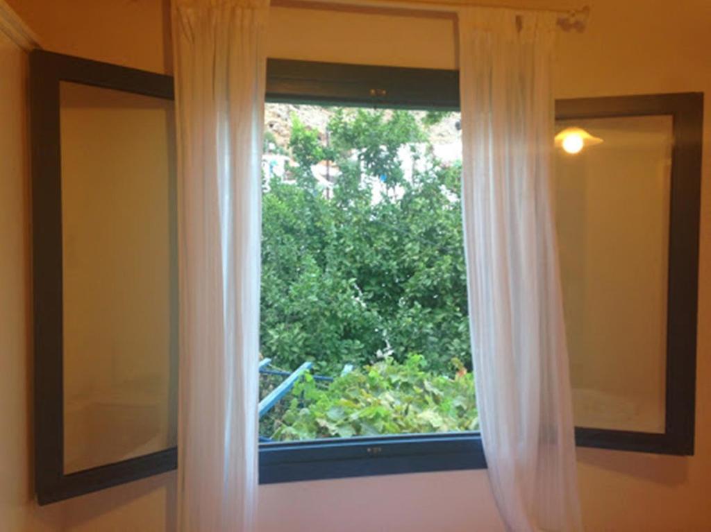 Zahrada ubytování Sofia Rooms