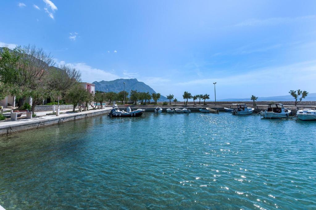 Príroda v okolí apartmánu