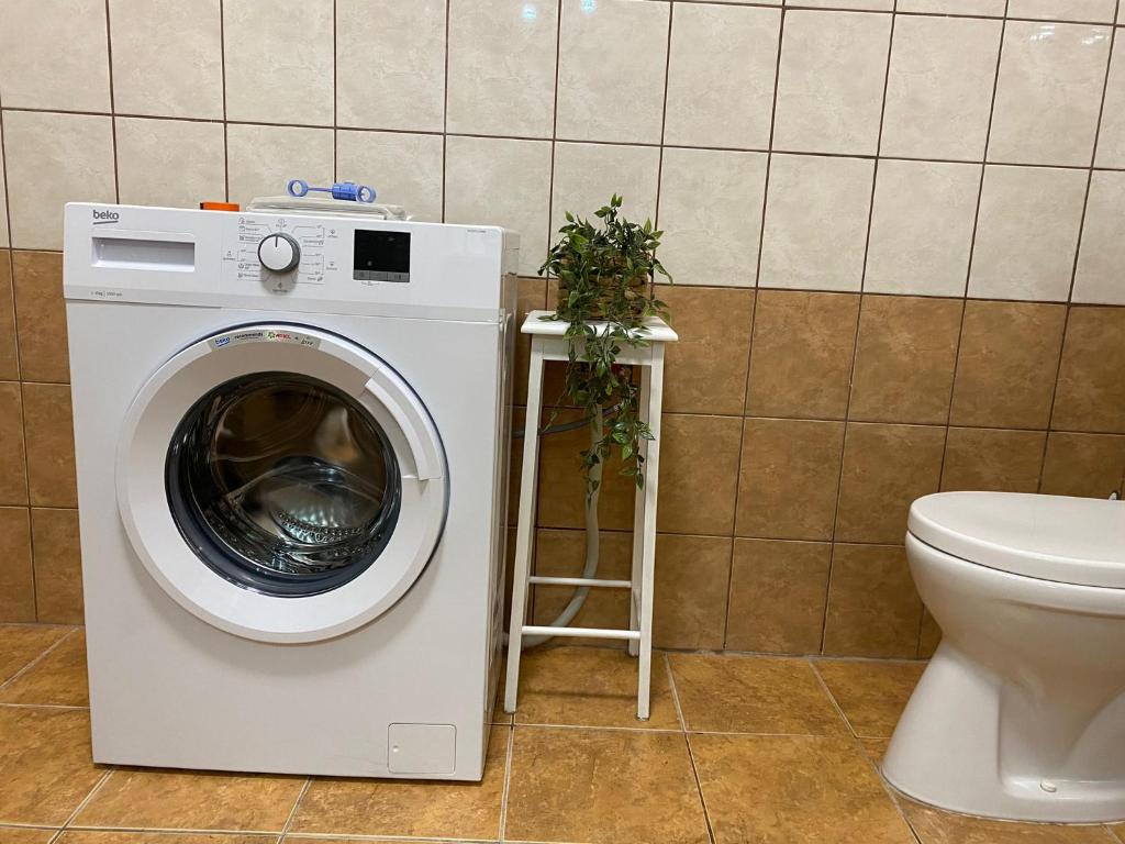 a washing machine in a bathroom next to a toilet at Het Romeo & Julia Huisje in Babarc