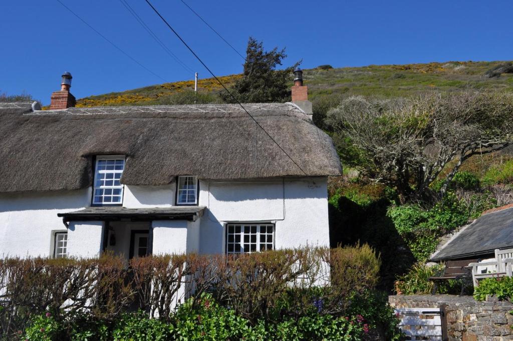 una antigua casa de campo blanca con techo de paja en Old Cottage, Crackington Haven, North Cornwall, en Bude