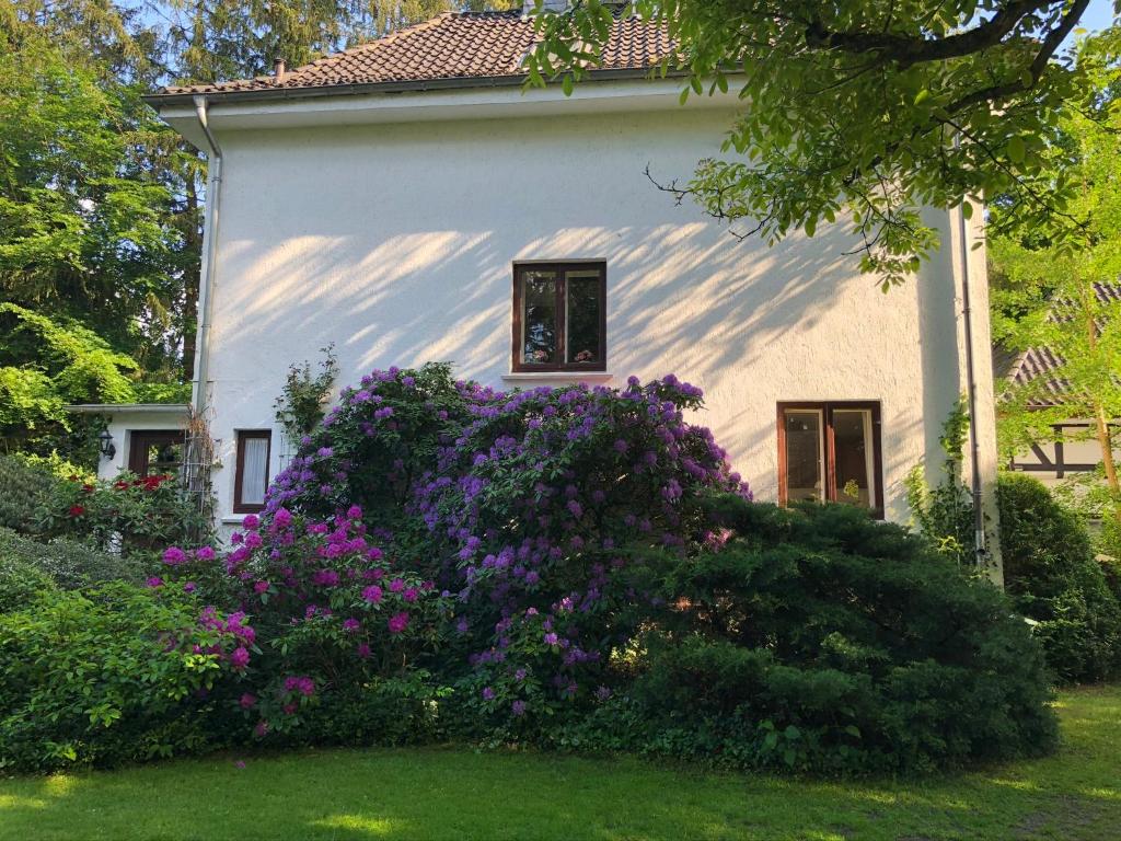 a house with purple flowers in front of it at Ferienhaus Hudemühlen KEINE MONTEURE in Hodenhagen