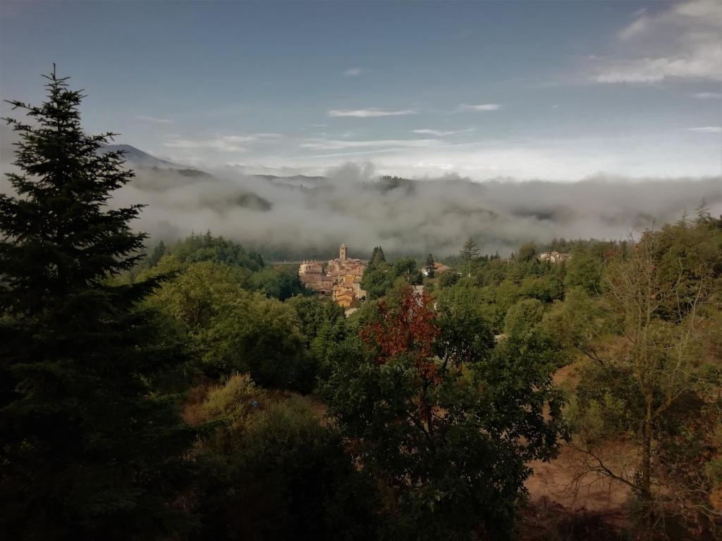 Príroda v okolí horskej chaty