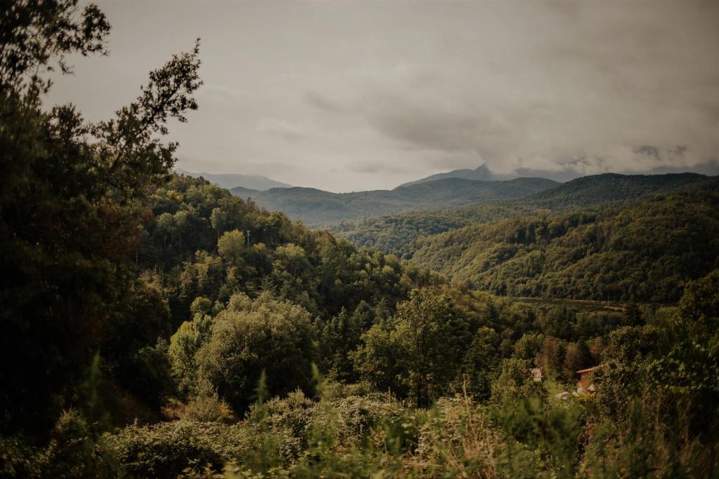 Príroda v okolí horskej chaty