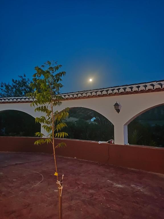 Zdjęcie z galerii obiektu cortijo los arcos w Maladze