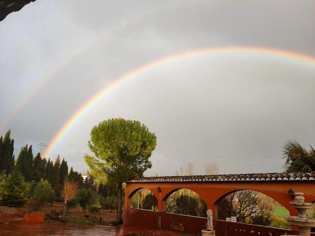 Zdjęcie z galerii obiektu cortijo los arcos w Maladze