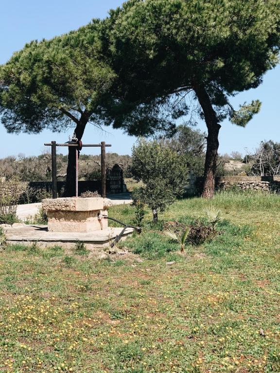 Zahrada ubytování Trullo Contrada Stracca