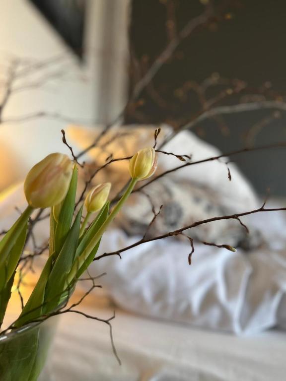Fotografie z fotogalerie ubytování Fröjel Resort & Spa v destinaci Fröjel