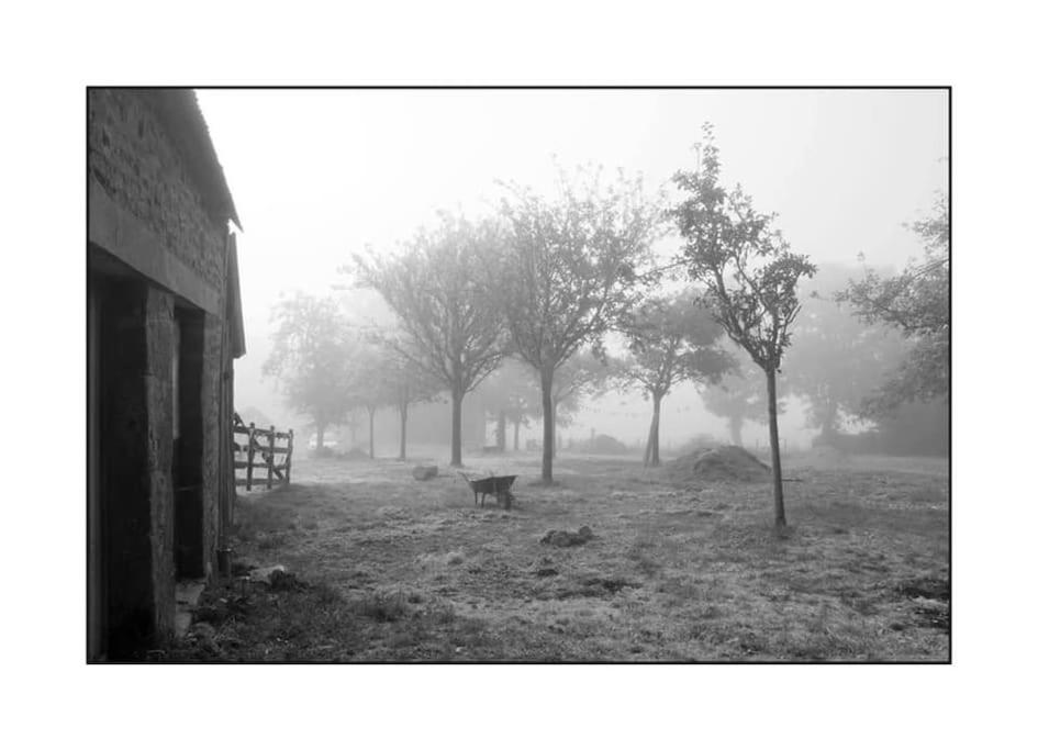 Fotografie z fotogalerie ubytování Ferme de Noyes v destinaci Sourdeval