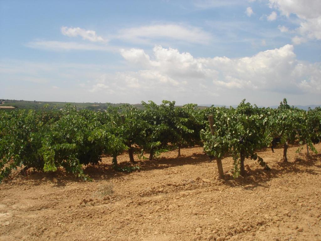 Fotografie z fotogalerie ubytování Agroturisme Cal Jeroni v destinaci Avinyonet