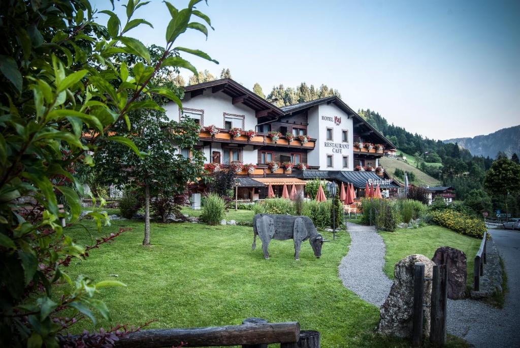 Příroda nedaleko hotelu