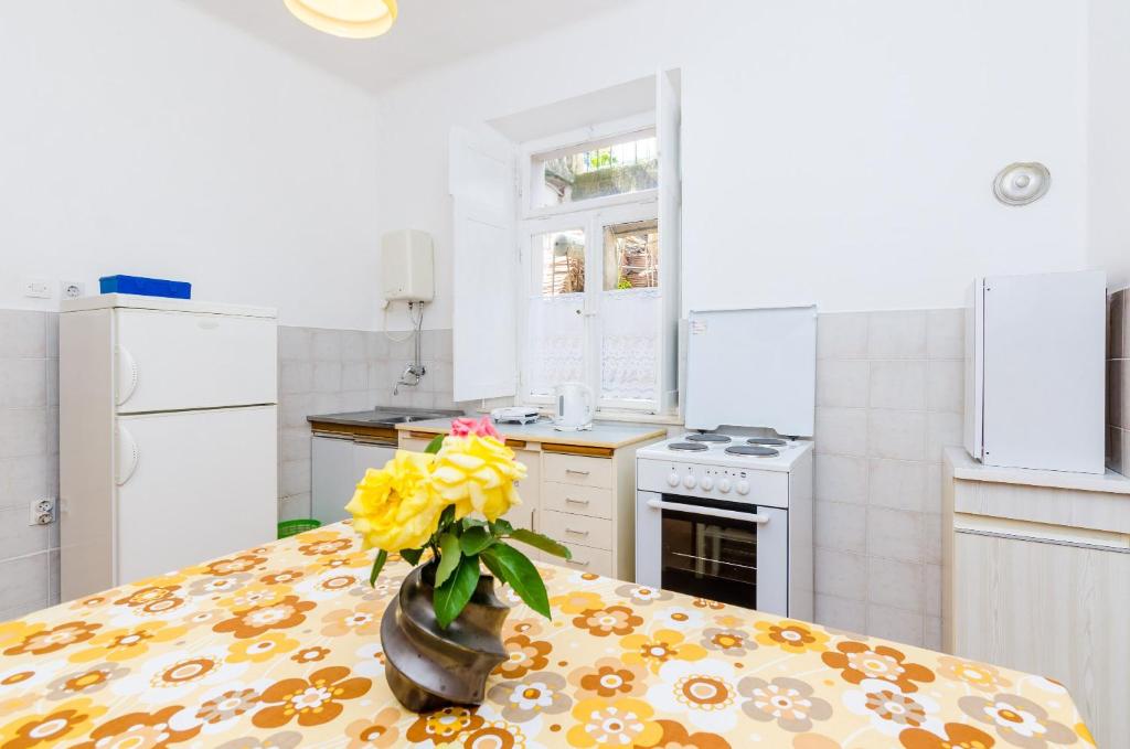 Kuchyň nebo kuchyňský kout v ubytování Apartment Lucy