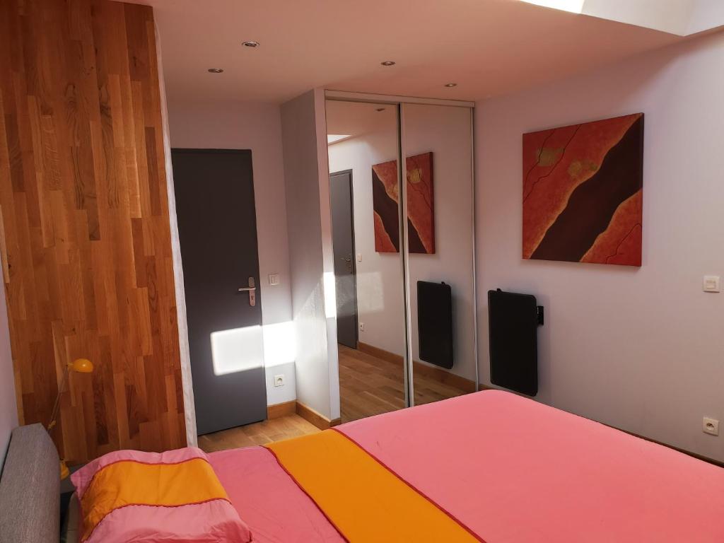 um quarto com uma cama e um espelho em Chambres à la Campagne em Moirans
