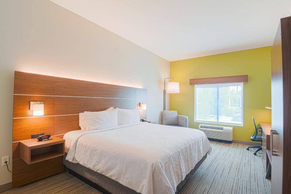 Holiday Inn Express Hotel & Suites Tampa-USF-Busch Gardens, an IHG Hotel - Chambre King Standard