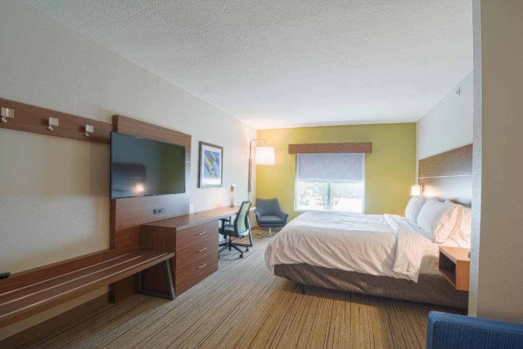 Holiday Inn Express Hotel & Suites Tampa-USF-Busch Gardens, an IHG Hotel - Suite Roi