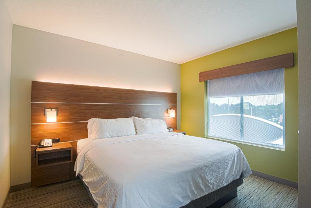 Holiday Inn Express Hotel & Suites Tampa-USF-Busch Gardens, an IHG Hotel - Chambre King Avec Deux Lits King - Non-Fumeurs