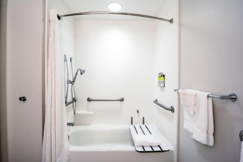 Holiday Inn Express Hotel & Suites Tampa-USF-Busch Gardens, an IHG Hotel - 