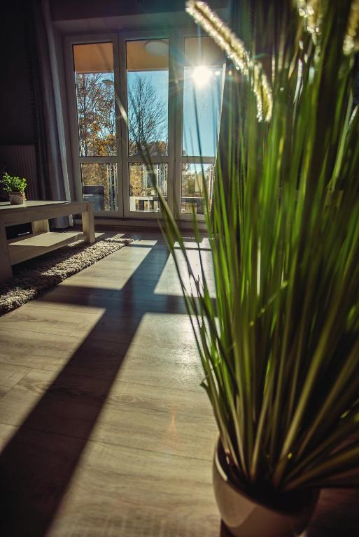 Fotografie z fotogalerie ubytování Apartament VIEW Wisla ve Visle