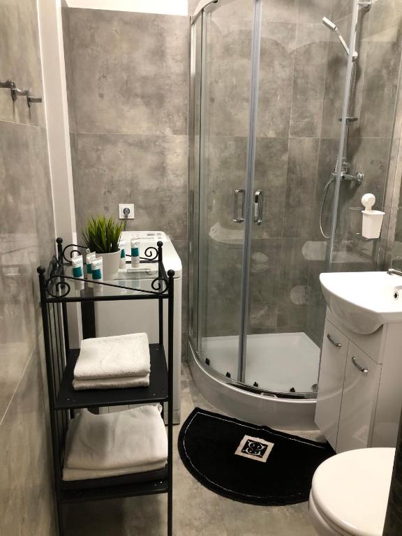 Kúpeľňa v ubytovaní Reagan Park Apartament