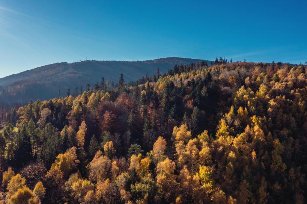 Príroda v okolí apartmánu