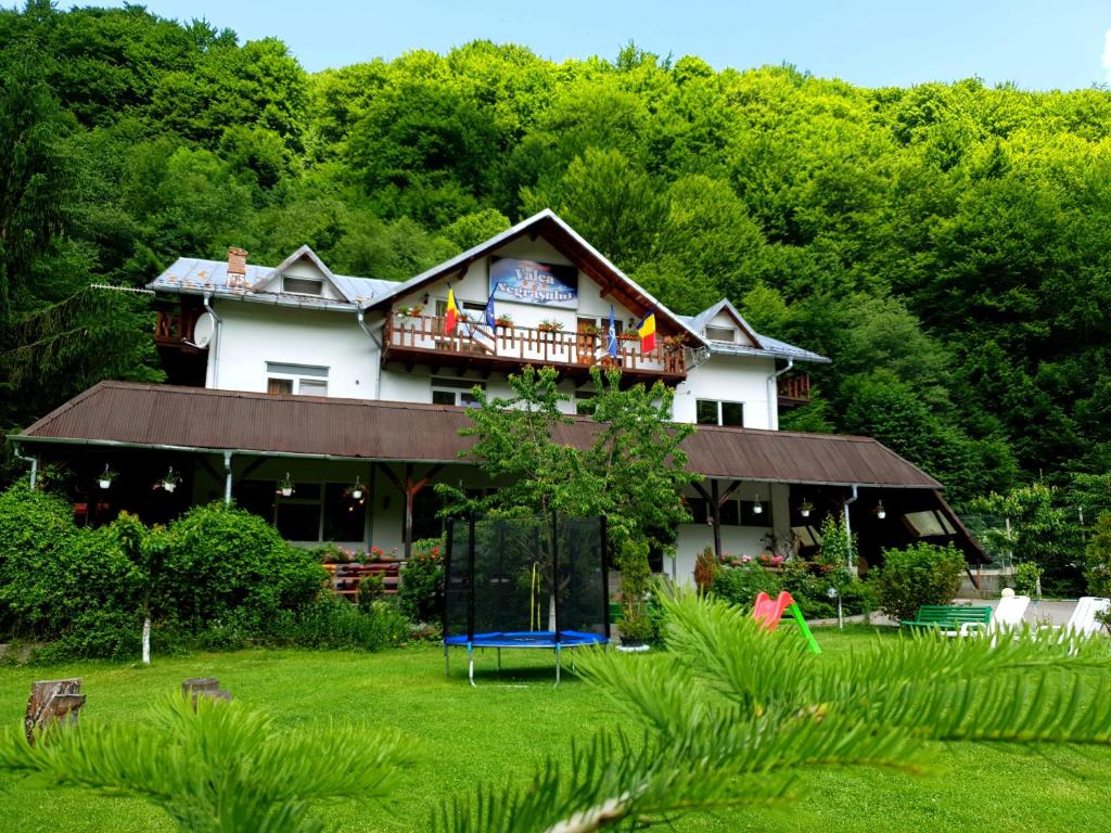 uma grande casa branca com um parque infantil no quintal em Pensiunea Valea Negrasului em Trăisteni