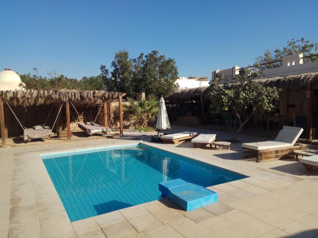 een zwembad met stoelen en een parasol bij Sinai Old Spices B&B in Sharm El Sheikh