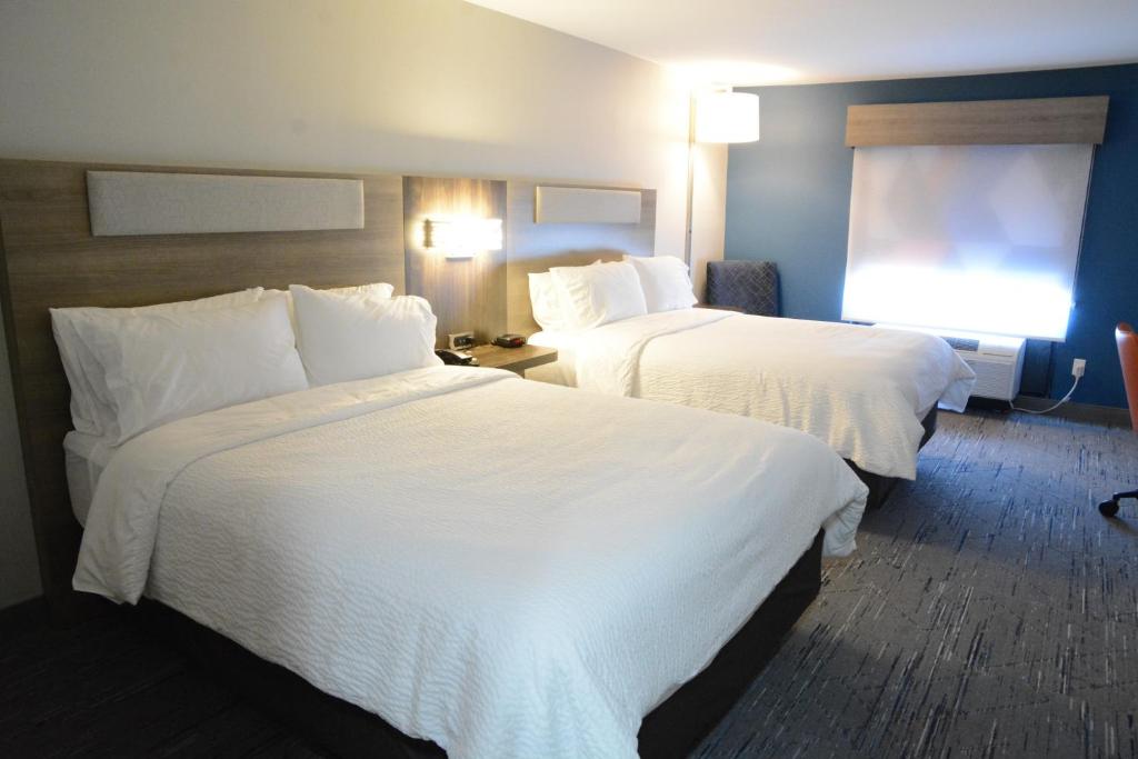 Holiday Inn Express Athens by IHG - Habitación Estándar Con Dos Camas Queen