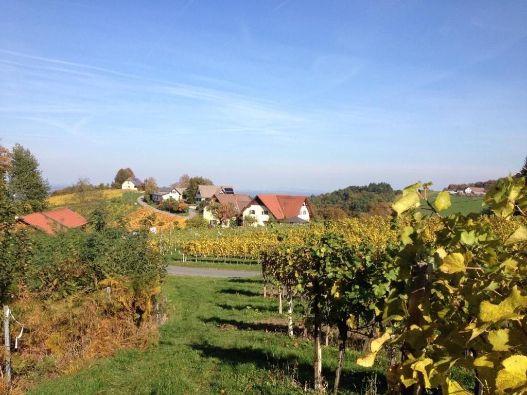 Garður fyrir utan Weingut Schwarzl