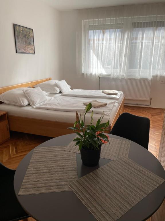 um quarto com uma cama e uma mesa com uma planta em Bogoly Apartman em Tokaj