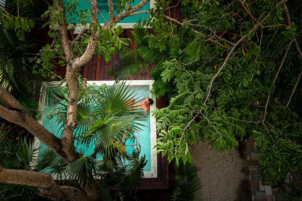 Che Tulum Hostel & Bar Adults Only