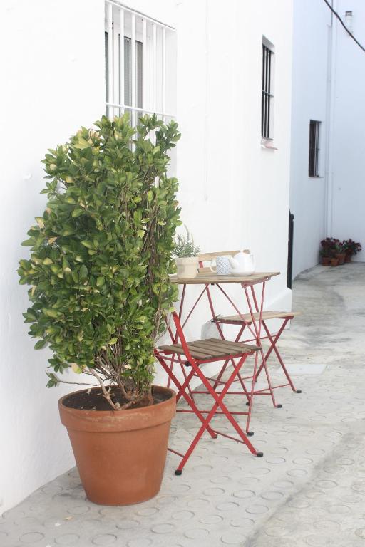 una mesa y una silla junto a una mesa y una planta en La Moradita en Vejer de la Frontera