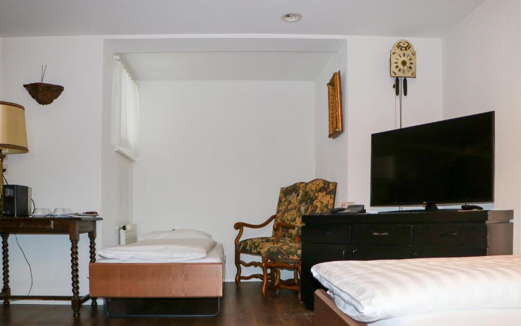 TV a/nebo společenská místnost v ubytování Hotel & Restaurant Sternen Köniz bei Bern