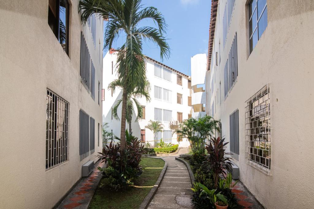 un palmier dans une ruelle située entre deux bâtiments dans l'établissement Acogedor Apartamento en el Norte 3 Habitaciones F14B, à Montería