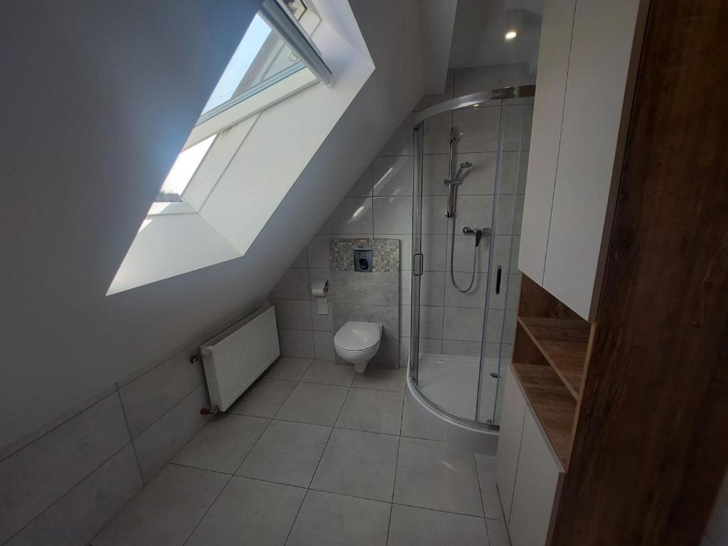 a attic bathroom with a shower and a toilet at Apartament Kala in Nysa