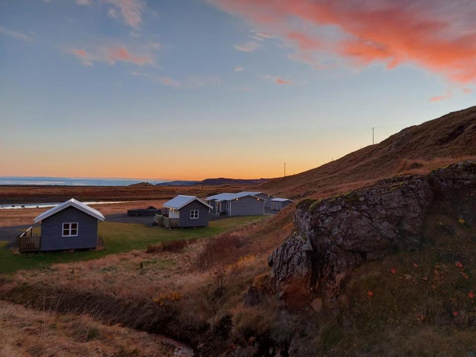 a group of houses on a hill next to the ocean at Lækjaborgir Guesthouse in Kálfafell