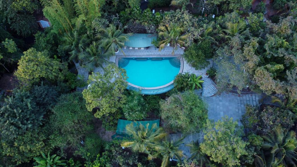 an overhead view of a pool in a forest at Wildflower Villas in Candolim