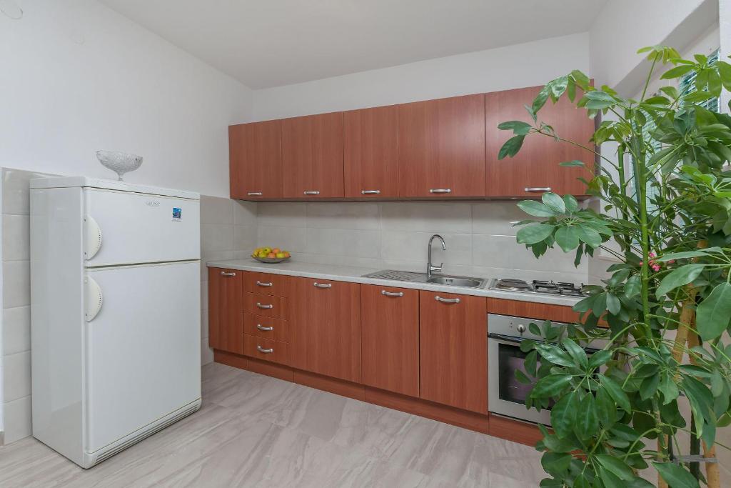 Kuchyňa alebo kuchynka v ubytovaní Apartments Jasna