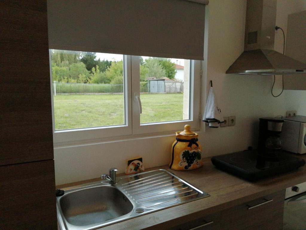 un comptoir de cuisine avec un évier et une fenêtre dans l'établissement La Petite Maison Des Vignes, 