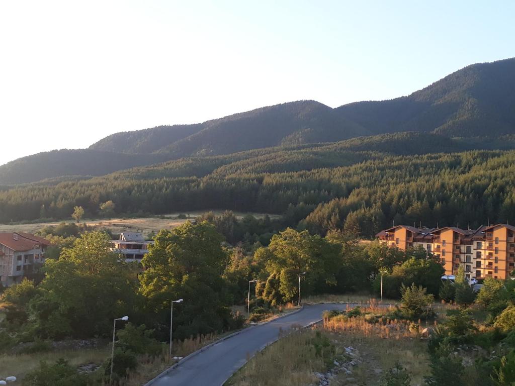 een kronkelende weg in een stad met bergen op de achtergrond bij Старият Хан-Б24 in Bansko